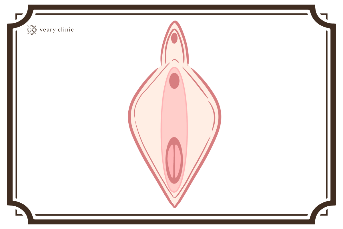 コラム12-3二つ孔状処女膜
