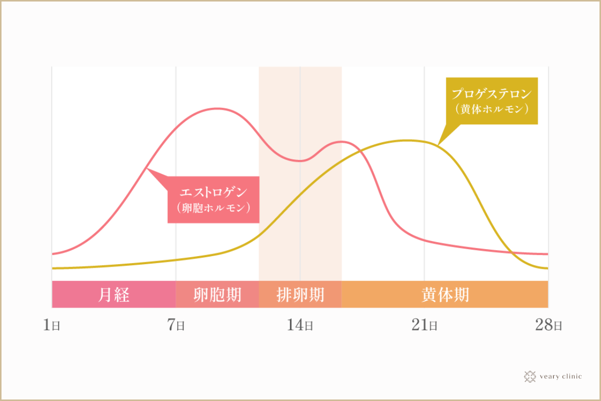 コラムA3-4