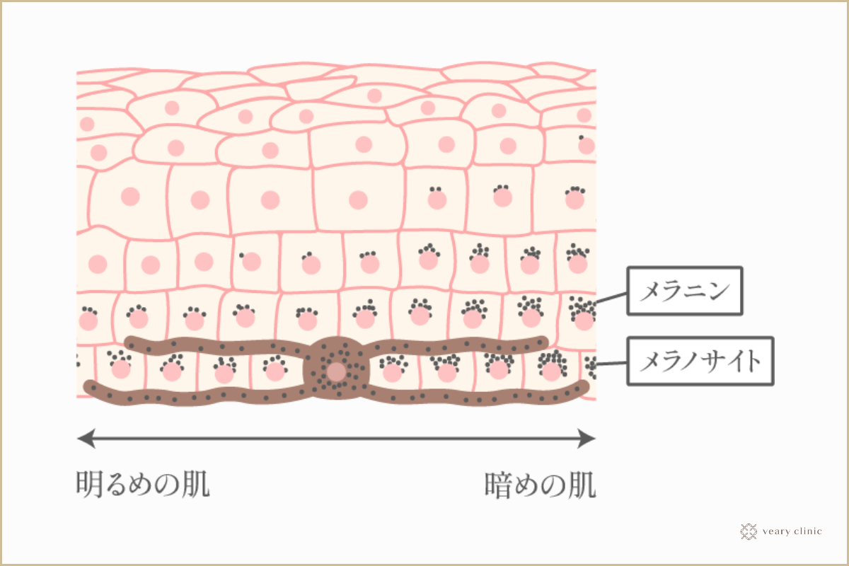 乳首 乳首の黒ずみの原因とは？ピンク色にする治療や対策を紹介 | コラム一覧｜  東京の婦人科形成・小陰唇縮小・婦人科形成（女性器形成）・包茎手術・膣ヒアルロン酸クリニック